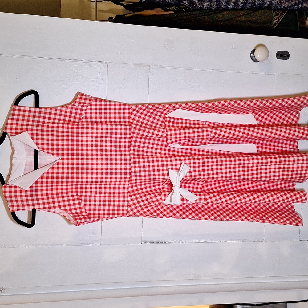 Vintage gingham retro house dress